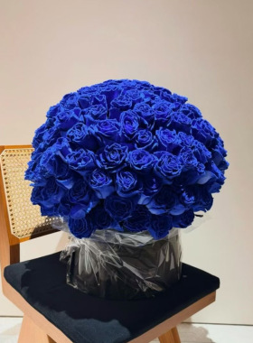 厄瓜多尔进口玫瑰BLUE  VELVET蓝色天鹅绒Jennie同款蓝丝绒10支