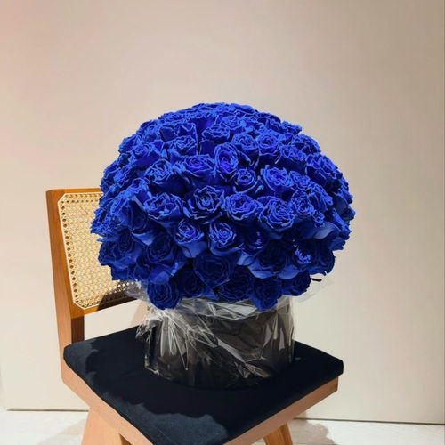 厄瓜多尔进口玫瑰花蓝丝绒10支