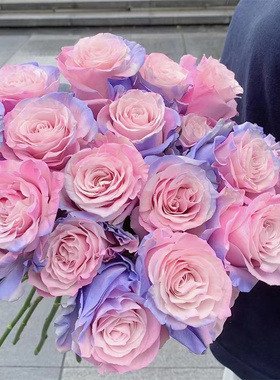 厄瓜多尔进口鲜花染色DUSTY ROSE灰蔷薇玫瑰花精品鲜切花10支