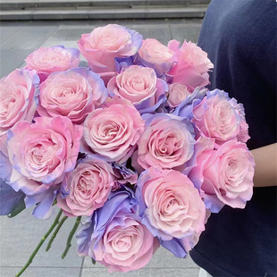 厄瓜多尔进口鲜花染色DUSTY ROSE灰蔷薇玫瑰花精品鲜切花10支