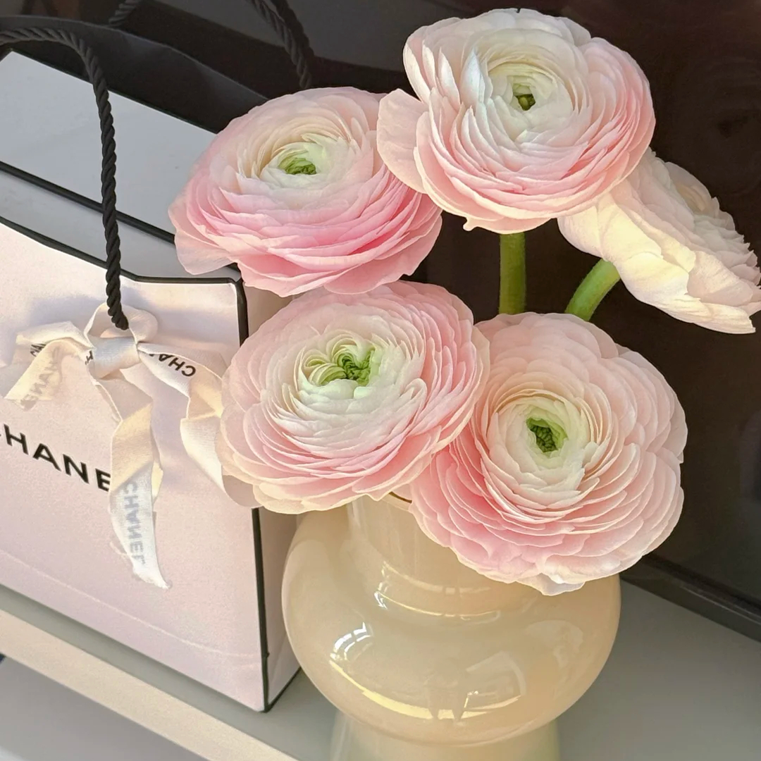 网红款成功系列洋牡丹鲜切多色选
