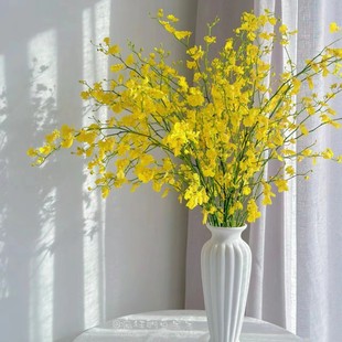 同城甄选花卉精品鲜花速递全国跳舞兰文心兰花公司办公室家庭用花