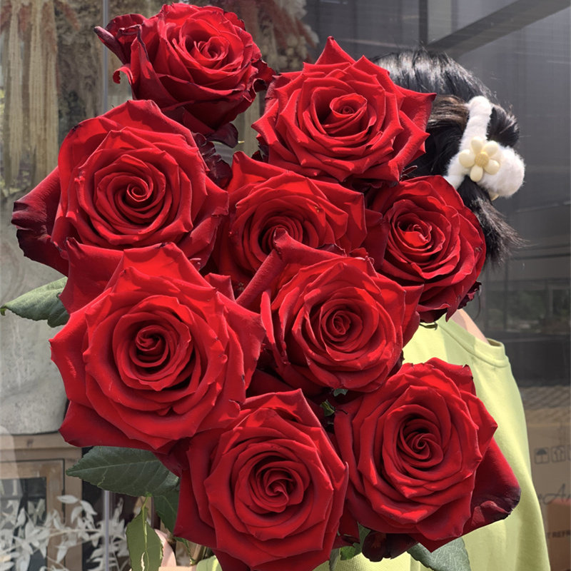 精品厄瓜多尔进口高端explorer探险家枪炮玫瑰10支1m高家庭用花