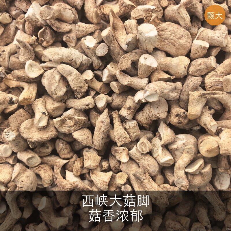 双剪大香菇脚西峡冬菇腿农家特产香菇柄根香味浓郁农产品5斤包邮