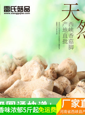 干净无杂香味浓郁冬菇脚厂家直批