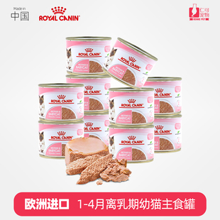仁可宠物 皇家奶糕猫罐头进口幼猫怀孕母猫慕斯营养湿粮主食195g