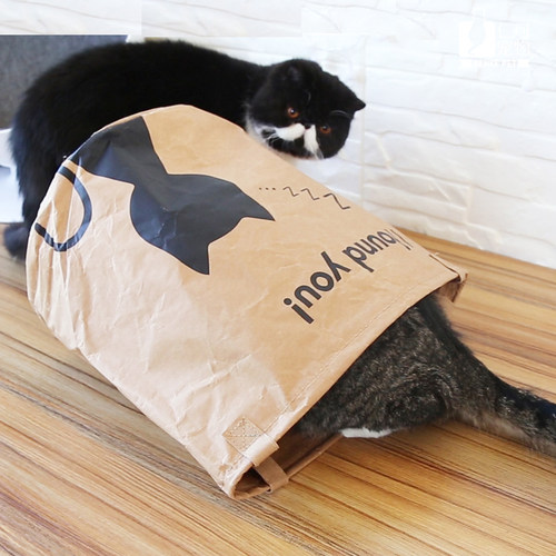 猫用双层牛皮纸袋耐撕咬猫窝