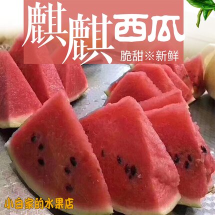 松脆新款甜的南汇8424头藤麒麟西瓜 一个5斤左右当天送 只送上海