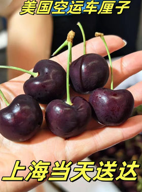 黑车厘子2斤SANTINA冷藏智利樱桃