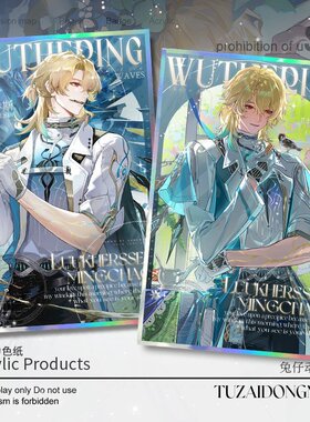 鸣潮新款周边色纸爱弥斯陆赫斯色卡高颜值银葱谷子送人礼物无料女