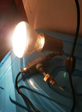 议价塞默飞fisherscientific，实验灯，专用实验灯1