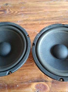 议价J-Bebo双磁8寸喇叭一对，8欧160W，口径20公分，成