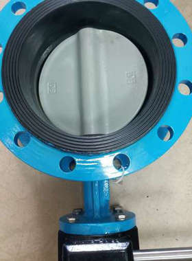 议价全新BNSL 法兰蝶阀 D341X-16Q 蓝色涂装 带涡轮