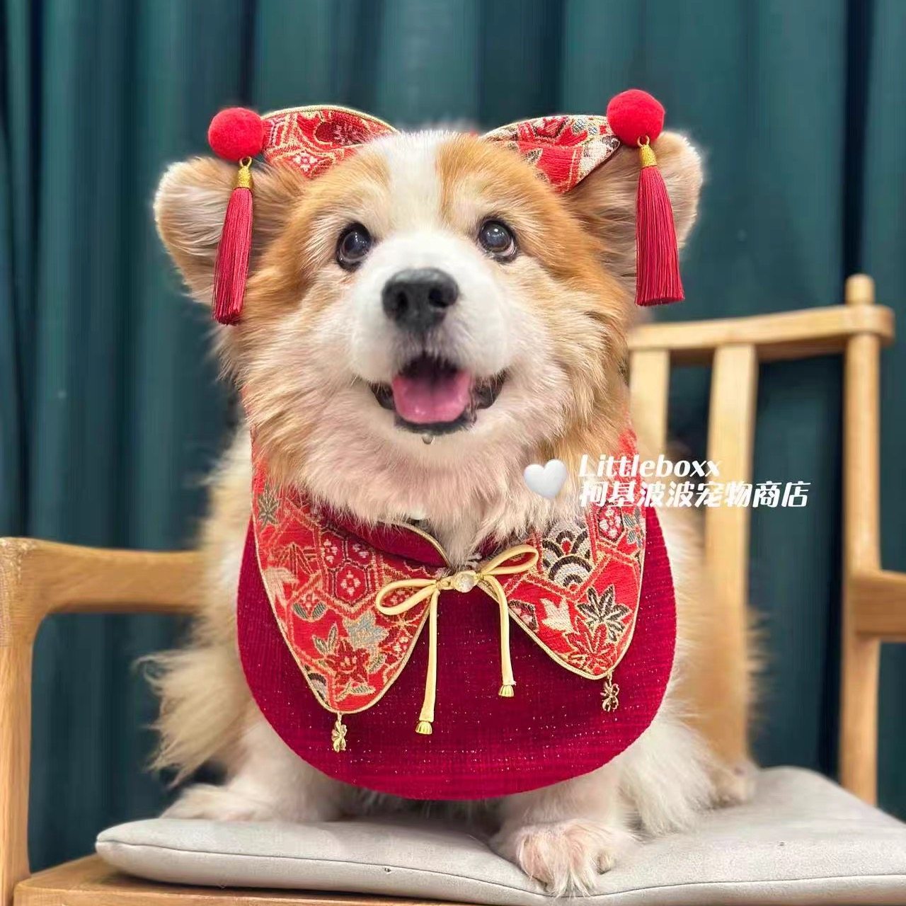 柯基波波同款新中式喜庆情侣款宠物口水巾围兜拍照配饰小中大型犬,宠物/宠物食品及用品,围巾/口水巾,淘宝优惠券,粉丝福利购,淘宝优惠卷