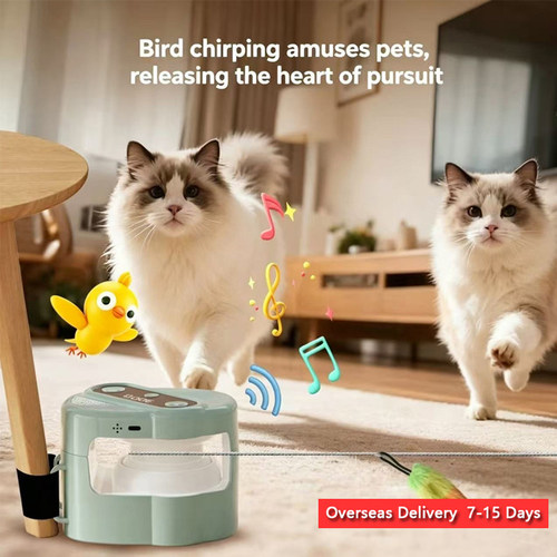 ElectricSmartPettoy