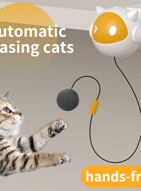 Electric Interactive Dog & Cat Toy Ball Indoor Cat Play Ball