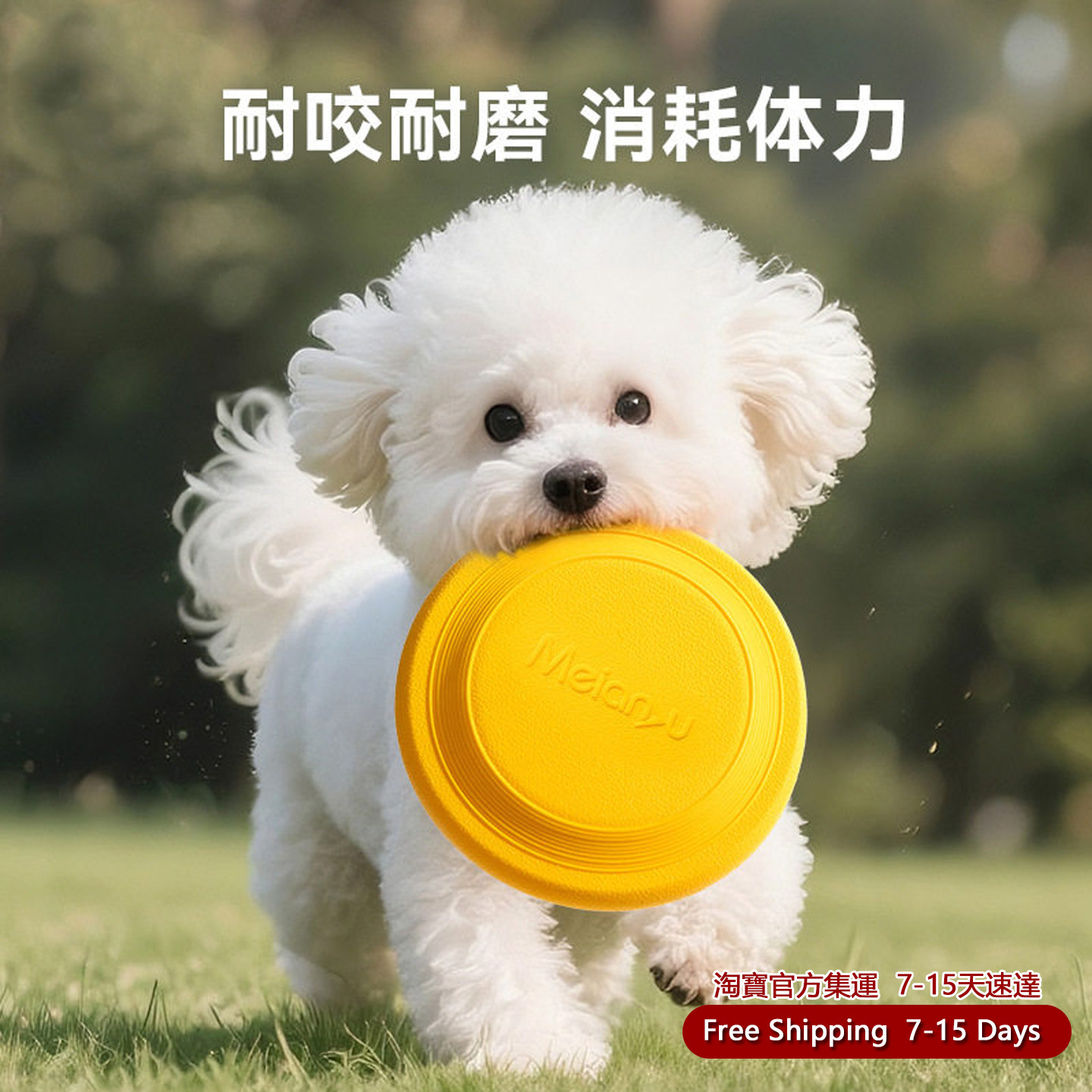 RubberFlyingDiscDogToy图片