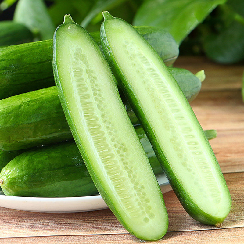 1山东寿光小黄瓜5斤新鲜水果整箱当季荷兰小青瓜生吃时令蔬菜包邮