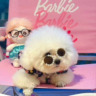 超好吃繁育狗粮/猫粮