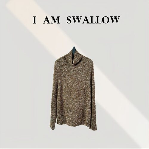 【A/M Swallow】高领花纱丝羊绒长袖毛衣W-1297#997