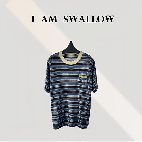 【A/M Swallow】绵羊毛条纹短袖T恤W-1291#2210