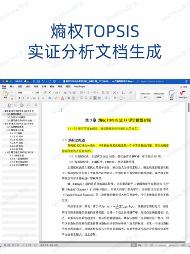 熵权TOPSIS实证分析文档生成
