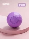 Fantasy Purple [Star Diamond-Fascian Ball] 1