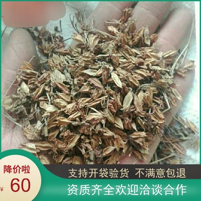 优质中药材龙船花 卖子木 山丹 阴丹 龙船头500g包邮促销