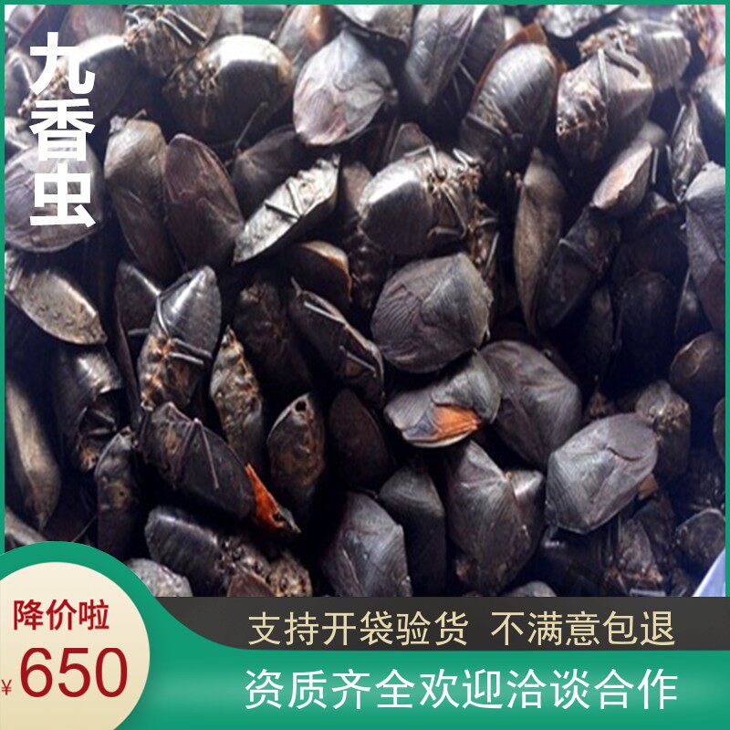 大鹏中药材九香虫 清水货500克 650元