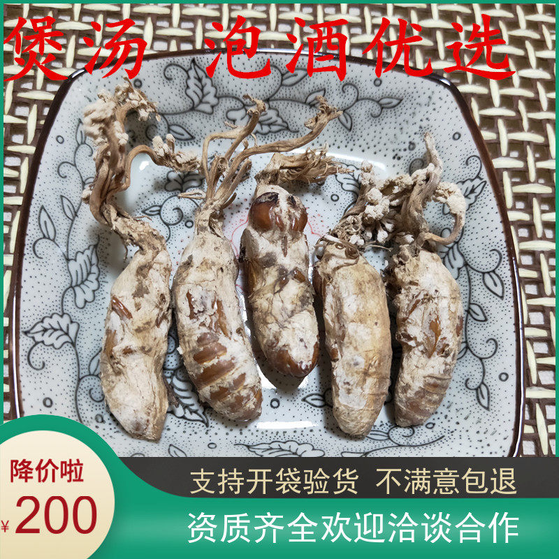金蝉花 250g 年新货 大别山竹林蝉花知了花大虫草粉