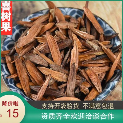 喜树果 中药材无硫新货天然纯新货喜树果千丈树水栗子天梓树500克
