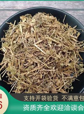 繁缕草500g中药材新鲜天然繁缕茶干泡水中草药鹅肠菜乌云草鹅肠草