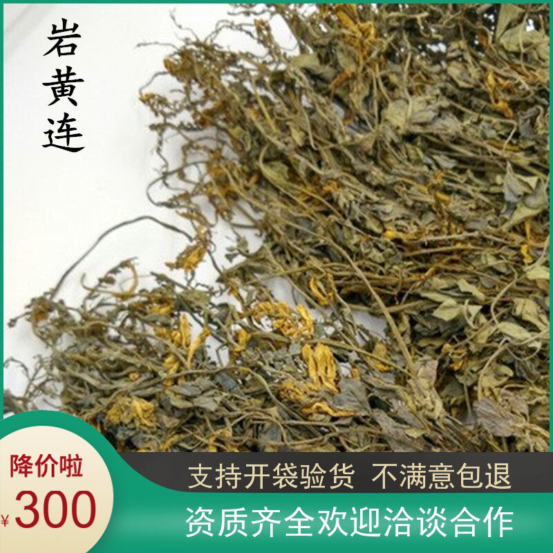 中药材岩黄连 新货岩黄莲 岩胡 岩连 菊花黄连 土黄连 500克包邮