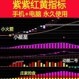 智汇谷紫紫红黄双紫擒龙追踪懂牛钱坤指三线扭转庄家控盘指标智牛