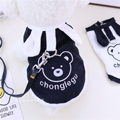 泰迪比熊博美小狗狗衣服小型幼犬雪纳瑞猫咪春秋薄款 宠物春装 夏季