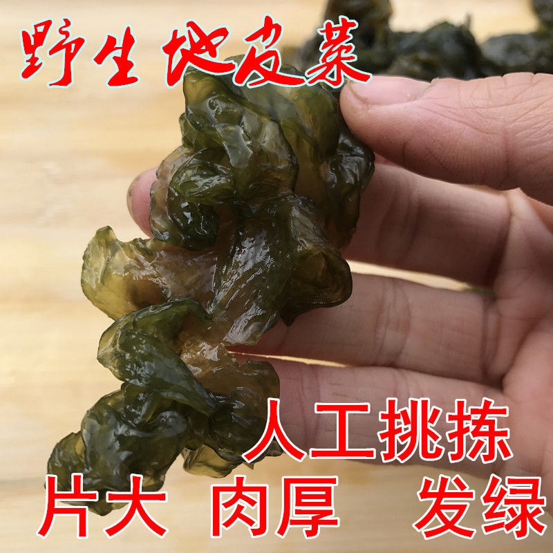 新货地皮菜免洗 河南特产 野生干地软地木耳地曲挛500克包邮