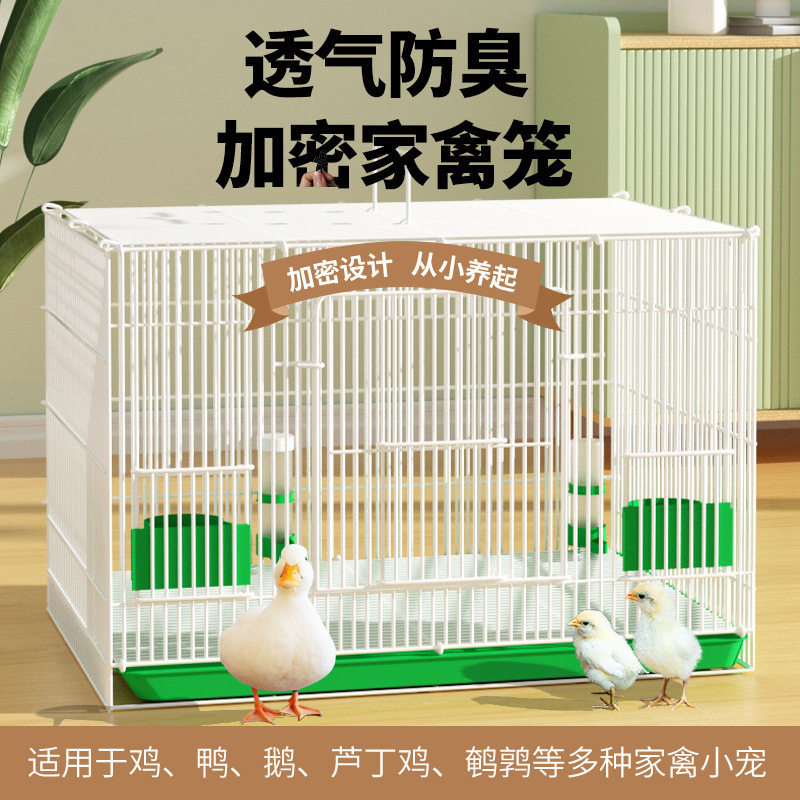 柯尔鸭专用笼子透气防臭加粗养小鸭子小鸡别墅笼大号家用室内图片
