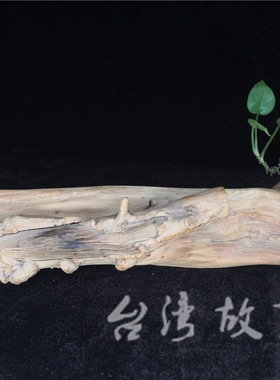 七里香台湾高山植物复古时光摆件