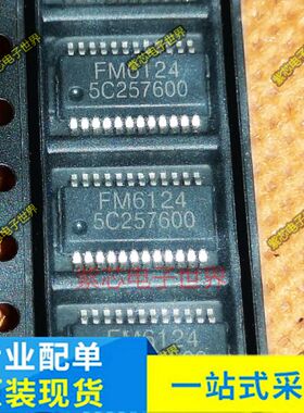 FM6124 SSOP24 LED显示屏芯片 全新原装 FM6124B FM6124D FM6124S