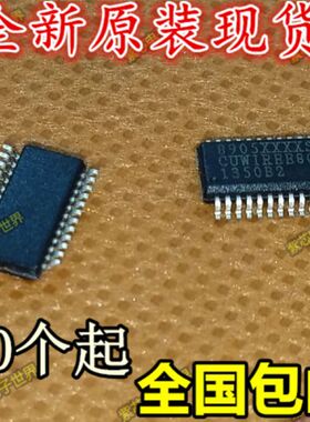 进口原装 OZ8905 OZ8905AF05SN OZ8905XXXXSN  SSOP24   直拍