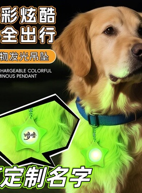 夜遛发光吊坠姓名牌硅胶套可充电