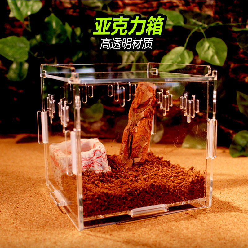 nomo爬虫亚克力箱 诺摩宠物组合饲养箱蜘蛛蝎子小宠透明缸爬虫箱
