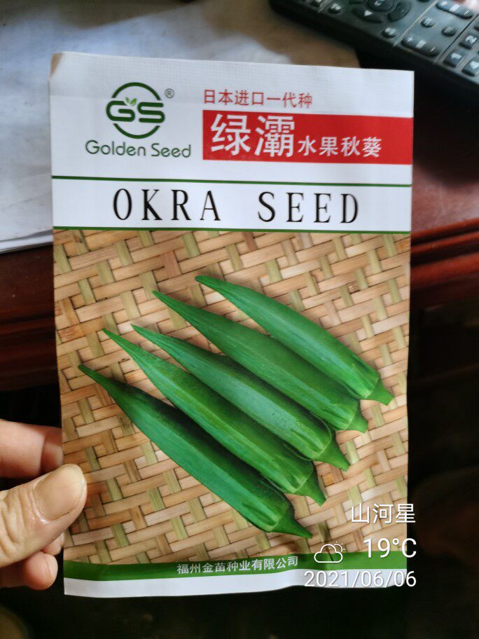 绿霸水果秋葵黄秋葵种子绿春季四季秋葵苗秧种籽蔬菜秋冬农家日本