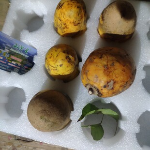 野果新鲜牛卵坨母婴童奇异不常见没见过少见的稀奇古怪的特色水果