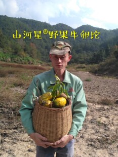 山河星野果水果八月瓜罗藤包九月黄拿藤包牛卵坨黄金蕉木通香蜜果