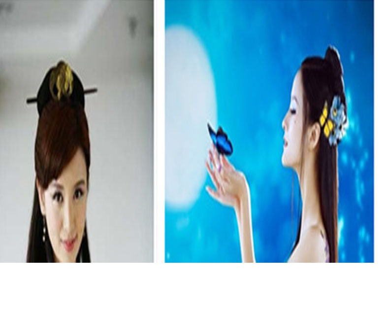 Extension cheveux - Chignon - Ref 236835 Image 4