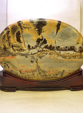 天然原石国画石家居桌面摆件精品景观石招财风水草花画面奇石镇宅