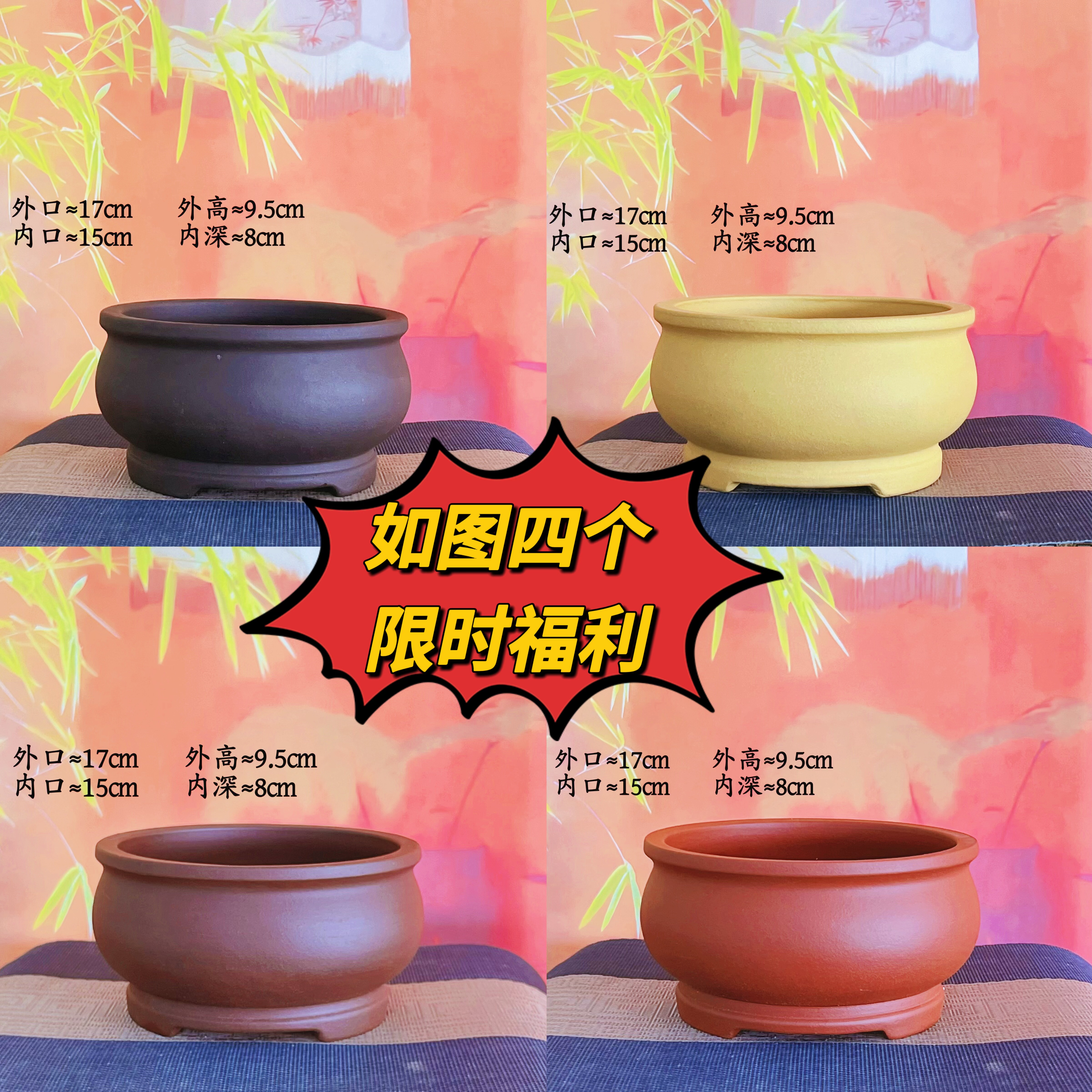 紫砂圆形花盆适合多肉盆景文竹菖蒲黄杨雀梅金弹子