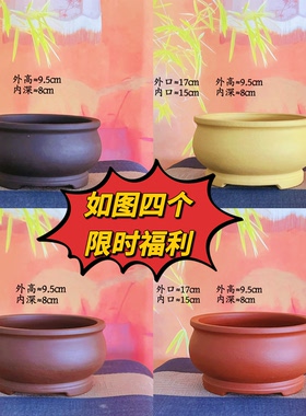 紫砂圆形花盆适合多肉盆景文竹菖蒲黄杨雀梅金弹子
