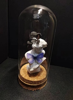 妩灰蝶标本小灰蝶雕塑小众手工收藏礼物真蝴蝶艺术玻璃罩摆件